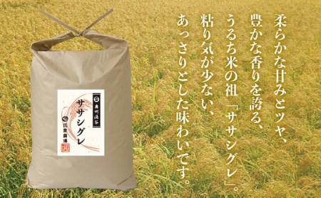 令和5年産 新米・氏家農場の幻のお米「ササシグレ」10kg