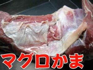 まぐろの貴重品 大きさ規格外 特大マグロカマ 2kg 訳あり