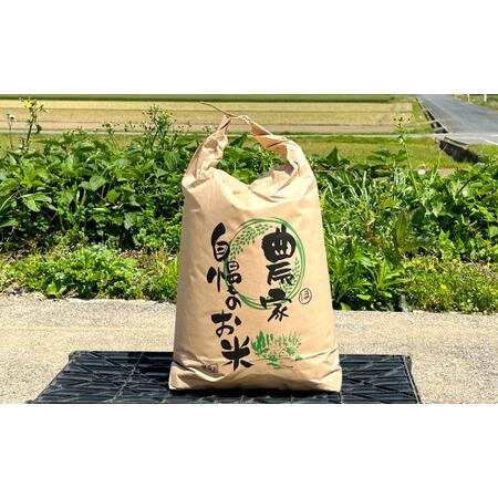 ふるさと納税 福岡県苅田町白川産 元気つくし 10kg お米 精米 福岡県苅田町