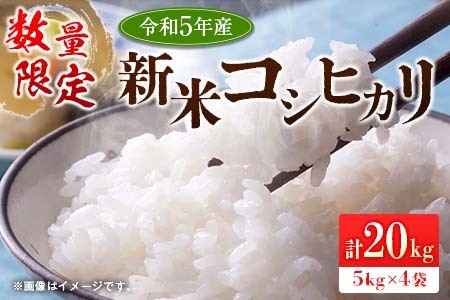 ≪数量限定≫新米コシヒカリ計20kg(5kg×4袋)　米　お米　ご飯　国産 DC7-23