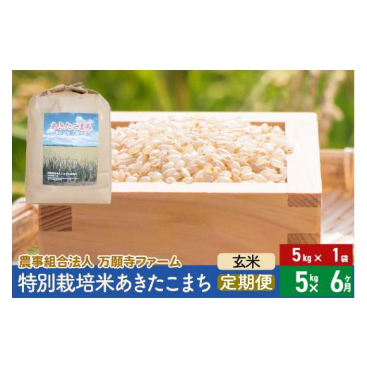 ふるさと納税 秋田県 美郷町 《定期便6ヶ月》令和5年産 特別栽培米あきたこまち 5kg（5kg×1袋）×6回 計30kg 6か月 6ヵ月 6カ月 6ケ月