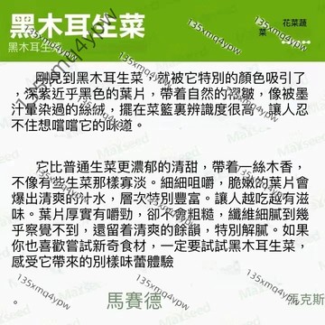 台灣現貨 新品種黑木耳生菜（500粒）特色品種生菜種子 口感清爽 生長快速 多茬采收 盆栽庭院四季家庭種植蔬菜種子