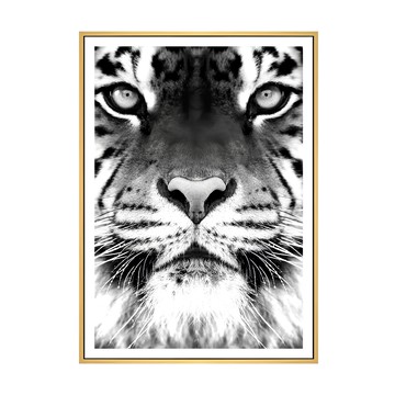 Boluo 菠蘿選畫所 獨行獵者 老虎 木色  42 x 59.4cm