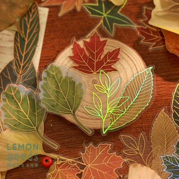 🍋檸檬青🍋 新款現貨特價自然筆記系列6款40枚入超美植物花卉PVC防水燙金貼紙手賬咕卡裝飾素材