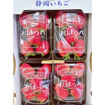 日本 靜岡 紅顏草莓 家庭號｜日本草莓禮盒