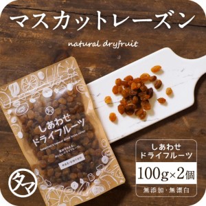 サンマスカットレーズン 100g×2個セット (オーストラリア産)  ドライフルーツ 無添加 砂糖不使用 ノンオイル ポリフェノール 有機JAS認