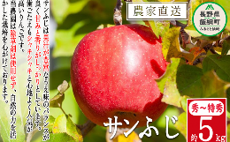 りんご サンふじ 秀 ～ 特秀 5kg 松澤農園 沖縄県への配送不可 2023年11月下旬頃から2024年1月下旬頃まで順次発送予定 令和5年度収穫分 長野県 飯綱町 [0502]