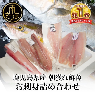 ★2024年1月お届け★朝獲れ鮮魚のお刺身詰め合わせ(4種) 冷蔵 鮮魚 生食用