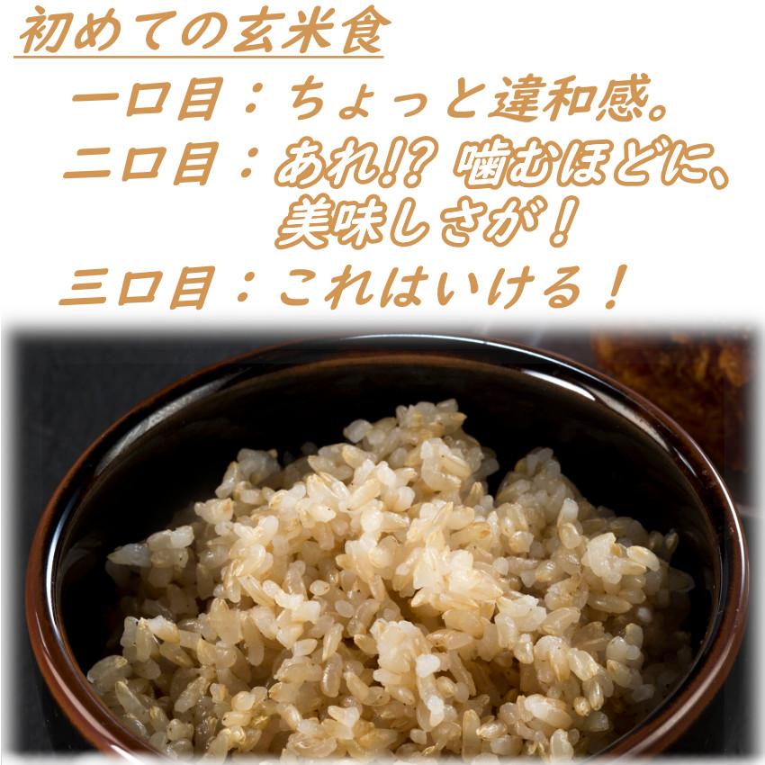 玄米 2kg 毎日の玄米 無洗米 送料無料 お試し 国産 米 2キロ