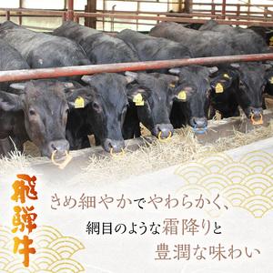 ふるさと納税 岐阜県海津市産　飛騨牛シャトーブリアン(150g×4枚) 岐阜県海津市