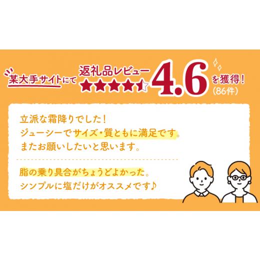 ふるさと納税 佐賀県 嬉野市  3月発送 佐賀牛 A5 サーロイン ステーキ 400g 2切 NAB005