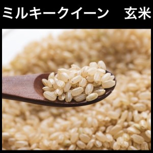 新米玄米といえば！茨城県産 ブランド米 ミルキークイーン 玄米10kg [0683]