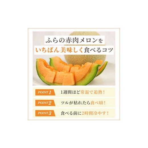 ふるさと納税 北海道 上富良野町 ふらの 赤肉メロン 厳選 秀品 Mサイズ 1.3kg〜1.6kg 2玉 セット ファーム富良野 メロン めろん 富良野メロン …