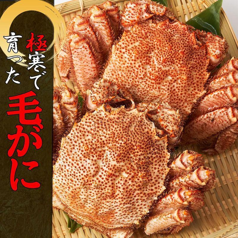 7L特大毛ガニ 1.4kg (2尾) キャンプギフト 内祝 御祝 御礼 ご挨拶 土産 贈り物 プレゼント