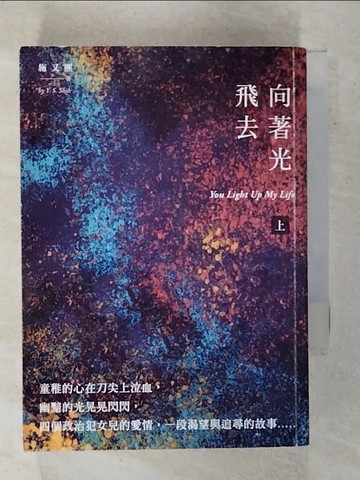 【書寶二手書T7／一般小說_FSH】向著光飛去 (上下冊)_施又熙