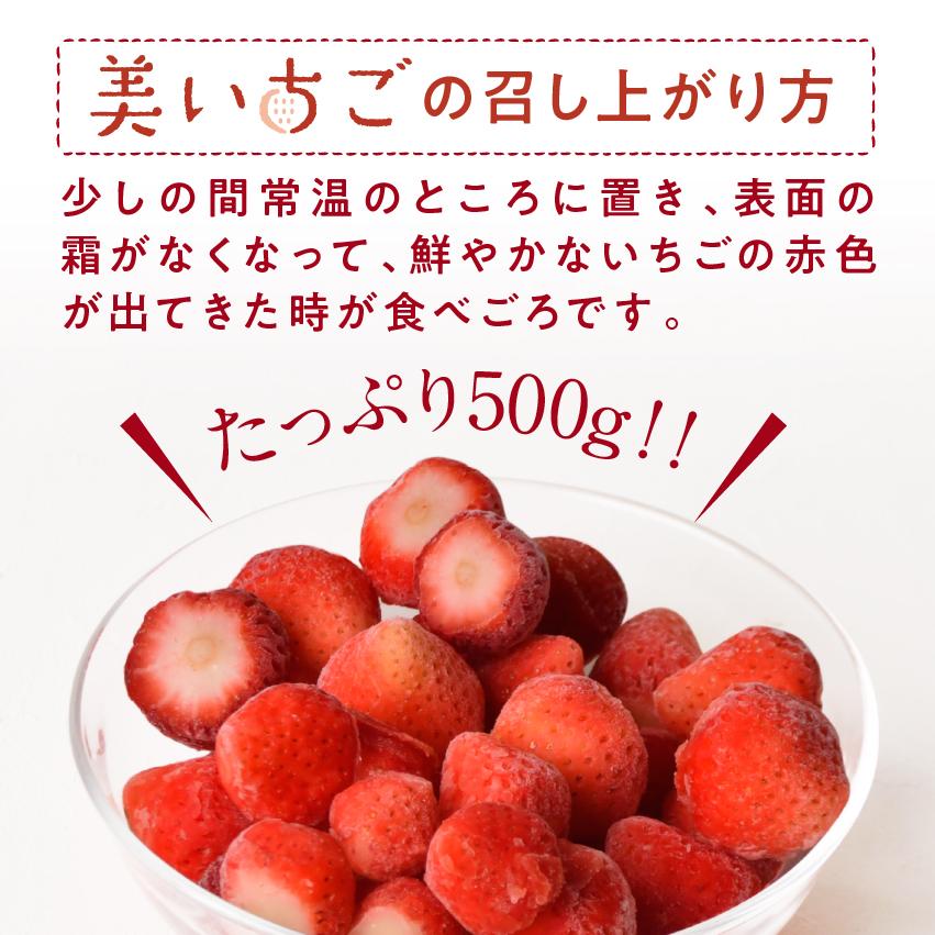 美いちご 1kg(500g×2袋) 冷凍 イチゴ 苺 有機栽培 国産 宮崎県産 フレッシュ スムージー スイーツ ギフト プレゼント 送料無料