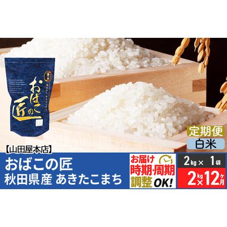 ふるさと納税 《定期便12ヶ月》令和5年産 おばこの匠 秋田県産あきたこまち 2kg×12回 計24kg 12か月 12ヵ月 12カ月 12ケ月 秋田こ.. 秋田県美郷町