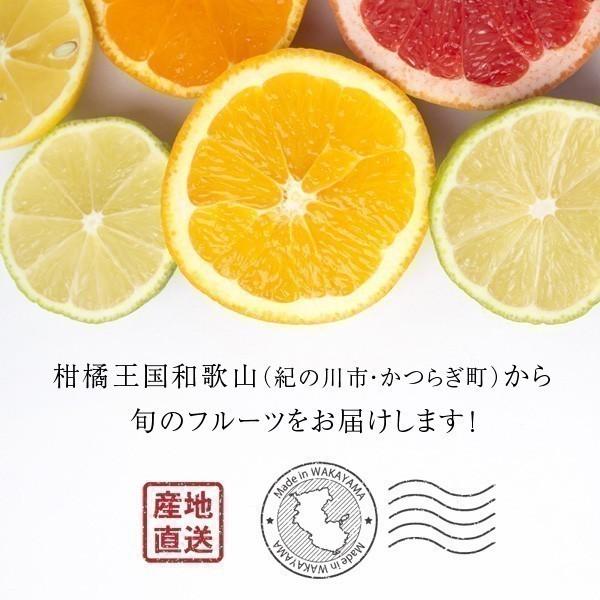 産地直送！ 和歌山産 じゃばら（ジャバラ）600g