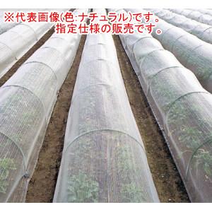 防虫ネット サンサンネット 3.6x100m 日 目合1mm 透光率90% EX2000