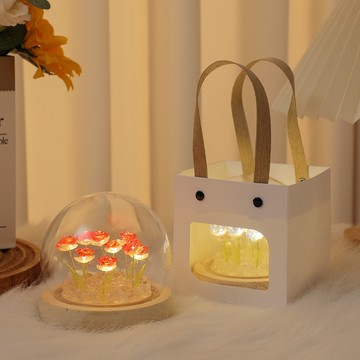 禮物袋手提袋 開窗手提袋 透明手提禮品袋 正方形手提袋 禮物袋 紙袋 開窗袋 送禮 聖誕節 花束袋 袋子 包裝