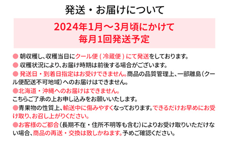 あまおう 定期便 約270g×4パックを３回（1月・2月・3月）　BO004