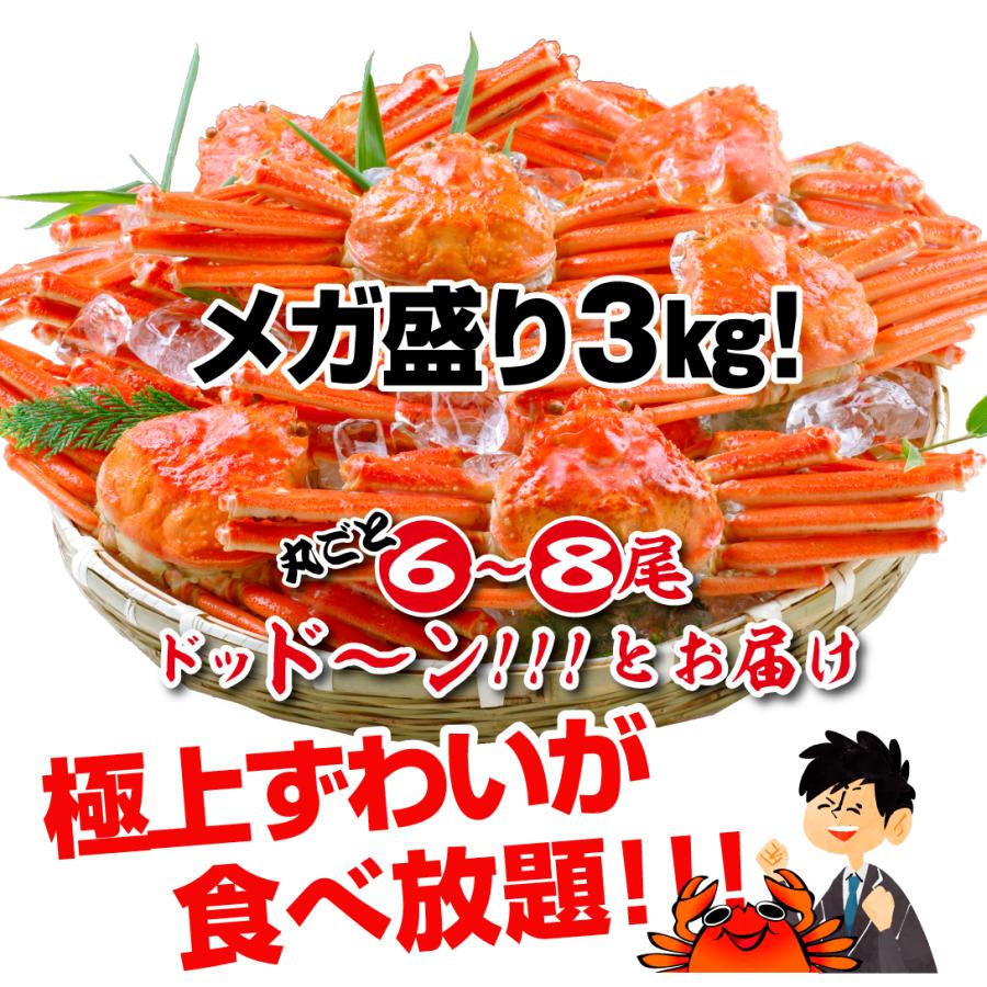 かに 3kg ボイルずわいがに 姿 大特価 メガ盛 6~8尾 蟹 ゆでがに 送料無料 冷凍便 食品