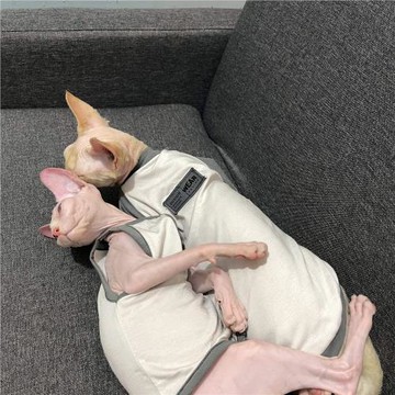 斯芬克斯無毛貓衣服夏季純棉潮薄款吊帶透氣彈力空調房德文貓衣服