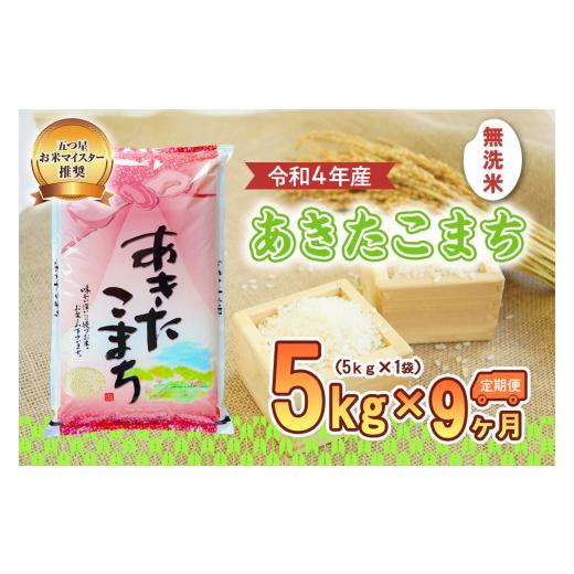 ふるさと納税 岩手県 盛岡市 盛岡市産あきたこまち5kg×9か月