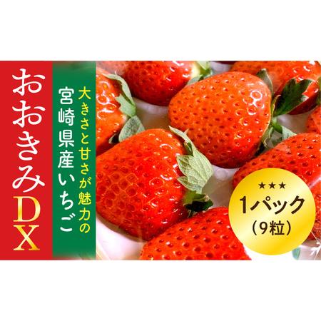 ふるさと納税 宮崎県産 イチゴ おおきみDX 1パック(9粒) いちご 苺 果物 期間・数量限定 宮崎県宮崎市