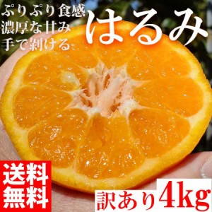  みかん はるみ 4kg 訳あり 大特価 ブランド 和歌山県産 産直 オレンジ フルーツ 果物