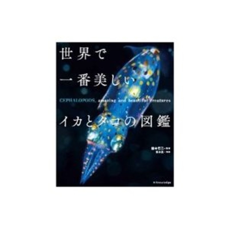 世界で一番美しいイカとタコの図鑑 / 窪寺恒己 〔本〕 | LINEショッピング