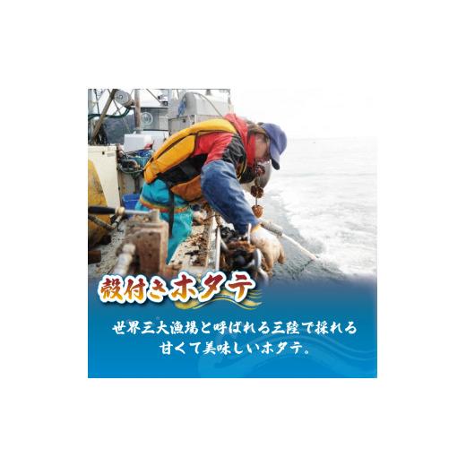 ふるさと納税 岩手県 大船渡市 訳あり 殻付き 活ホタテ 10枚