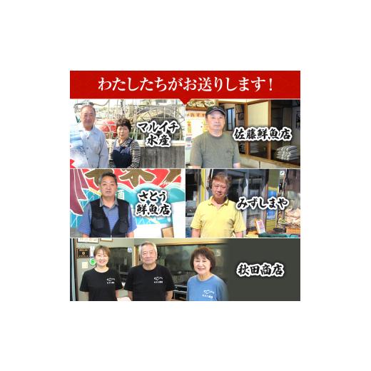 ふるさと納税 秋田県 にかほ市 発送メールのみ 日本海の鮮魚詰め合わせ（2〜3人前 下処理済み 切り身 魚介 セット）