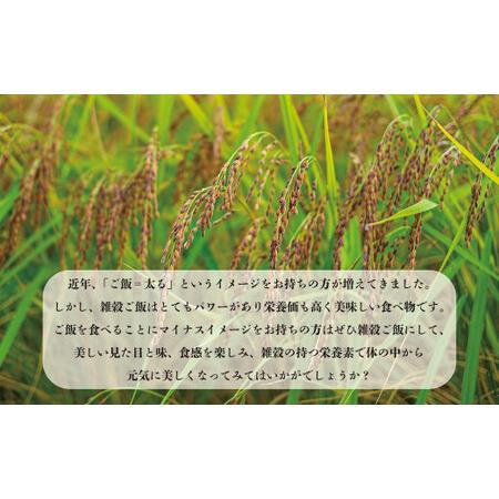 ふるさと納税 七城物語 有機赤米  玄米 合計900g(180g×5パック) 赤米 熊本県菊池市