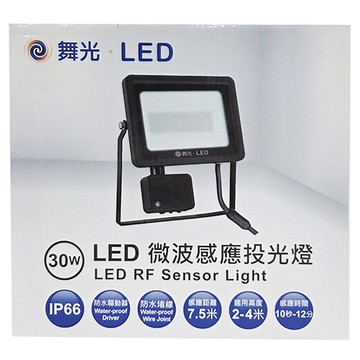 DANCELIGHT 舞光 感應泛光燈 30W 6500K 229 x 248 x 42mm 白光  1個