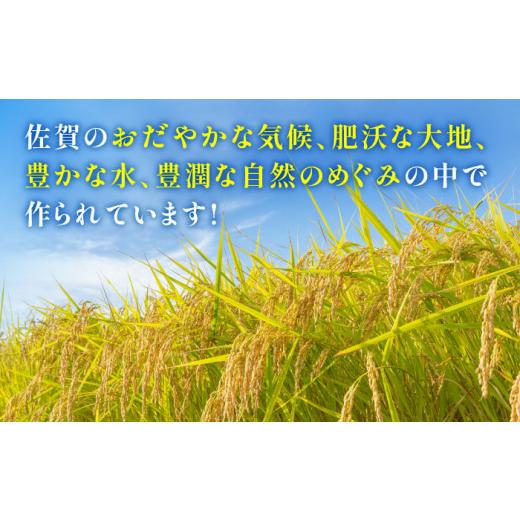 ふるさと納税 佐賀県 吉野ヶ里町 特A獲得！さがびより白米5kg 吉野ヶ里町／大塚米穀店 [FCW001]