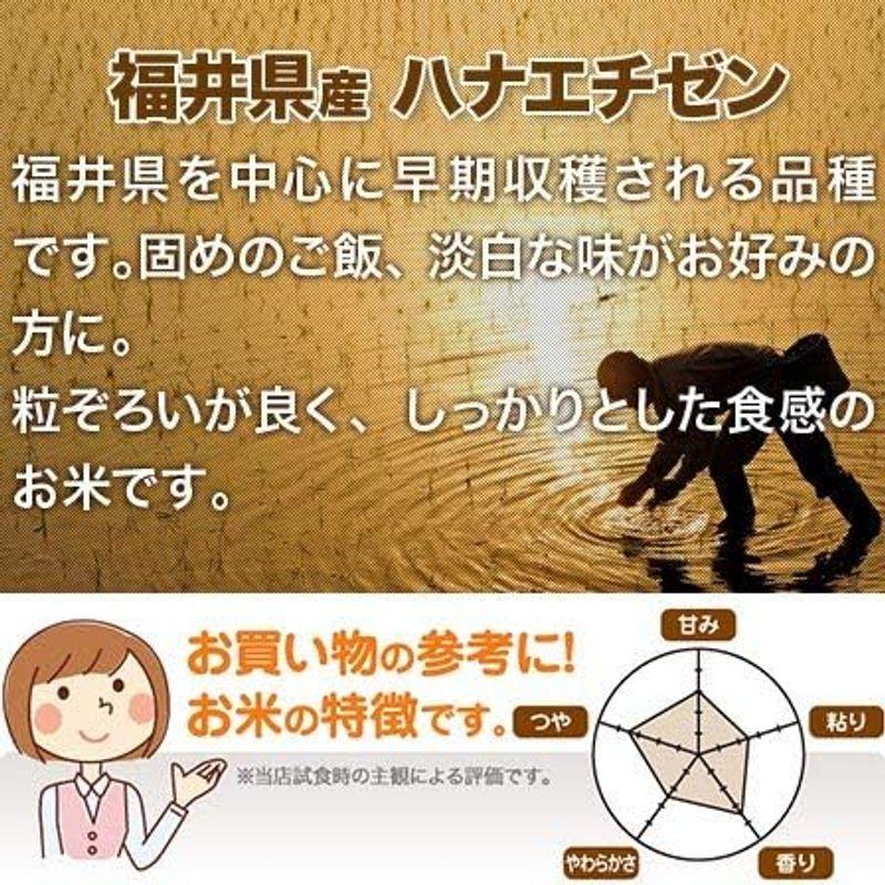 精米福井県産 華越前 ハナエチゼン 白米 30kg(5kg×6袋) 令和4年産