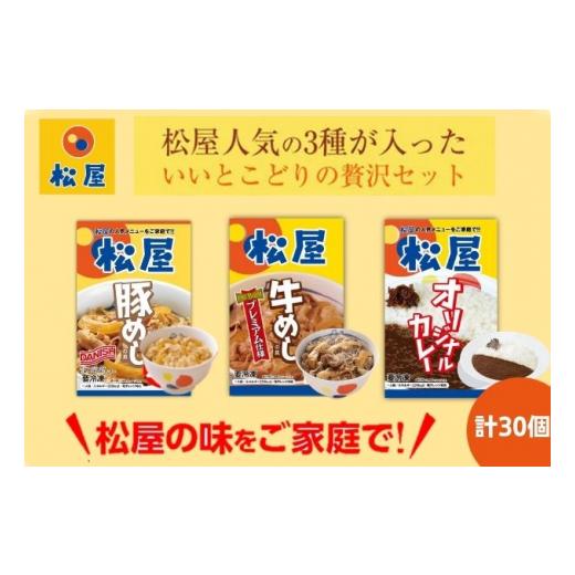 ふるさと納税 埼玉県 嵐山町 松屋 牛めし 豚めし カレー 30個 セット 冷凍 カレー 牛丼 豚丼　