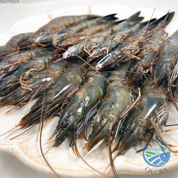 嚴選天然急凍草蝦300g/20尾/盒【歐嘉水產】餐廳供應 批發 團購 露營 烤肉