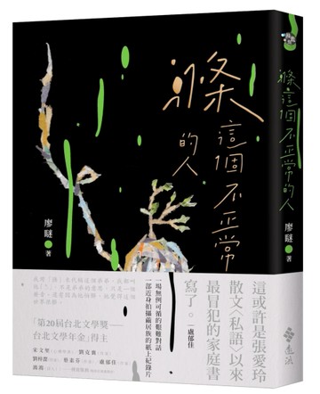 滌這個不正常的人【二手書_良好】TAAZE讀冊生活