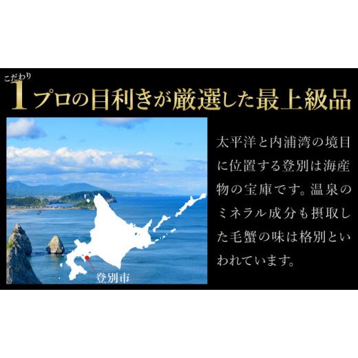 ふるさと納税 北海道 登別市 北海道登別産 旬の毛蟹500g前後×1杯