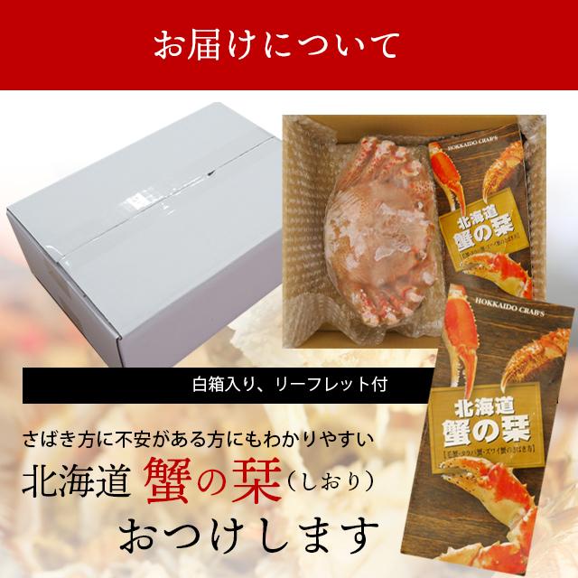 お歳暮 カニ ギフト 送料無料 ちょっと訳有 北海道稚内産 毛蟹 1kg 1尾   御歳暮 毛蟹 毛ガニ 特大 大きい 姿 蟹姿 茹で ボイル済み 冷凍