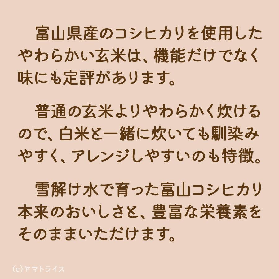ヤマトライス 白米と同じように炊けるやわらかい玄米 富山県産 こしひかり 2kg