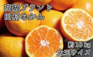 高級ブランド田村みかん　10kg　大玉サイズ	※2023年11月下旬頃～2024年1月下旬頃に順次発送予定(お届け日指定不可)