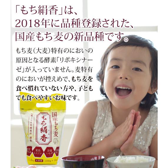 食物繊維 β(ベータ)グルカン 国産もち麦「もち絹香（もちきぬか）」(100g×14袋入)2袋セット 勅使川原精麦所