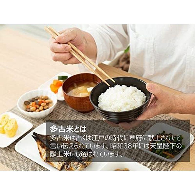 多古米 白米 コシヒカリ 5kg 令和5年産 千葉県産 新米 美味しい お米 高級米（白米5kg）