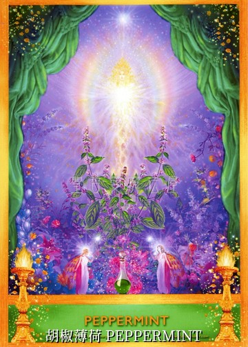 胡椒薄荷 PEPPERMINT【5*7吋美國進口正版作品】精靈天使精油神諭卡 - 精油天使系列畫