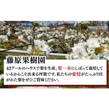 ふるさと納税 幸水 豊水 二十世紀 新高   梨 なし フルーツ フルーツ定期便  .. 長崎県南島原市