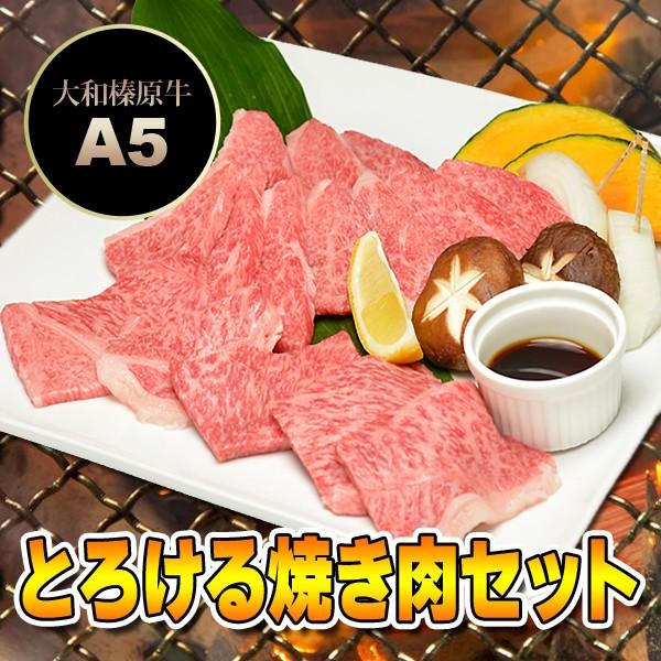 大和榛原牛 A5 とろける焼き肉セット 梅 250g （カルビ 150g ＋バラ 100g   約2人前） 送料無料 バーベキュー BBQ 冷凍便