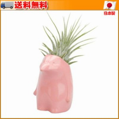 Plant's animal プランツアニマル イワトビペンギン ピーチ(桃) ▼手のひらサイズで可愛らしい